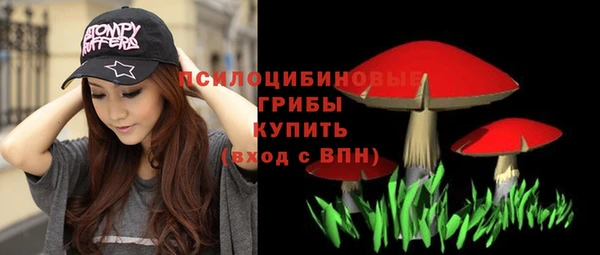 сатива Абдулино