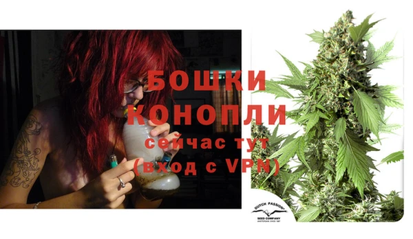 сатива Абдулино