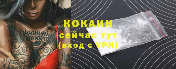 сатива Абдулино